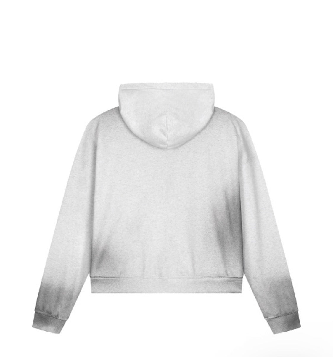 “BEEN HAVING SINCE A BABY” Vintage washed hoodie (Coming Winter 26’)
